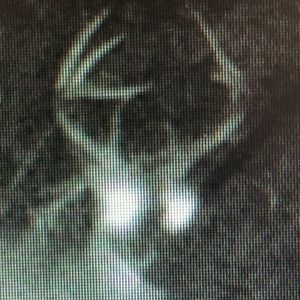 Meet your Posher, Joe